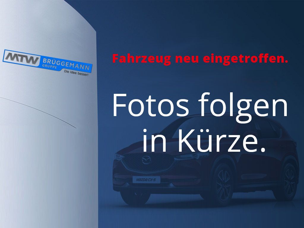 GWM ORA 03 - Bild 8 von 8