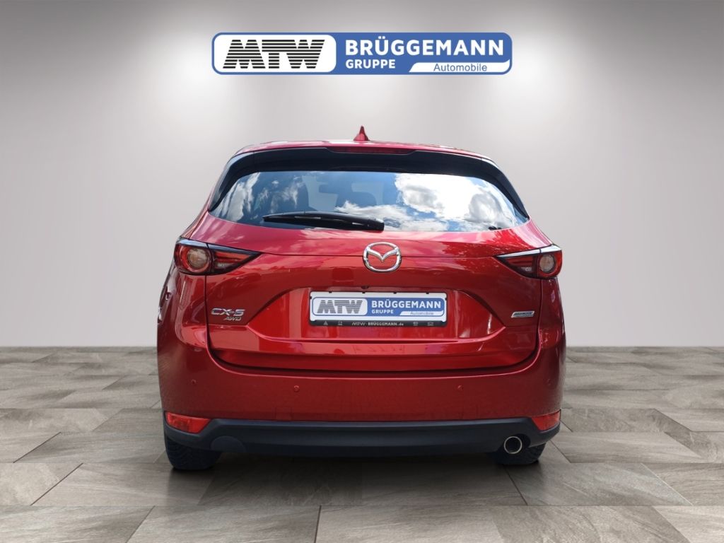 Mazda CX-5 rot Heckansicht Studio Gebrauchtwagen