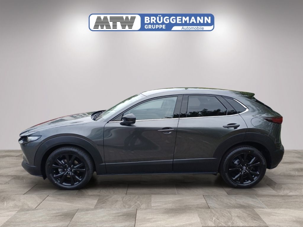 Mazda CX-30 grau metallic Seitenansicht mit schwarzen Felgen