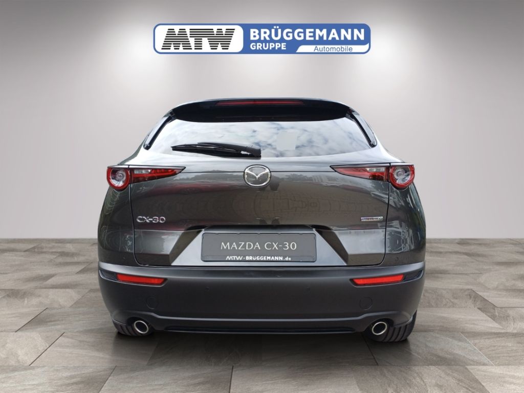 Mazda CX-30 in Grau, Heckansicht im Studio