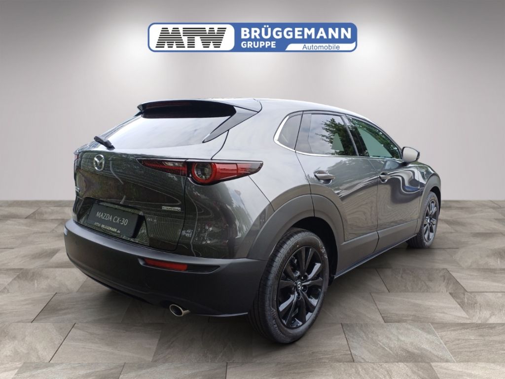 Mazda CX-30 in Grau, Heckansicht mit Alufelgen im Studio