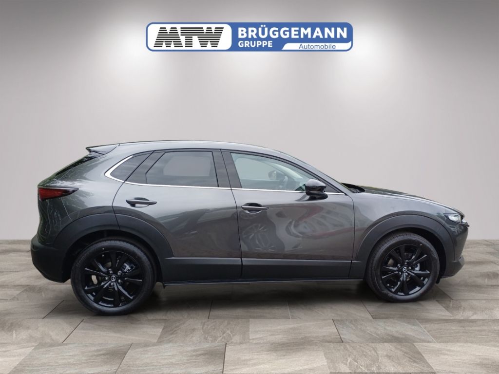 Mazda CX-30 Seitenansicht in Grau mit schwarzen Felgen