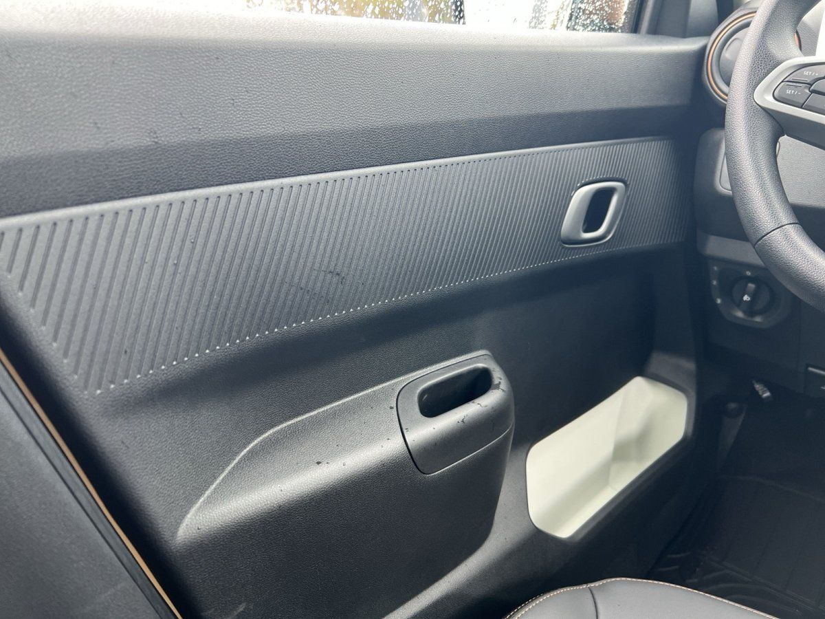 Fahrzeuginnenraum Türverkleidung mit Türgriff und Spiegel im Autohaus