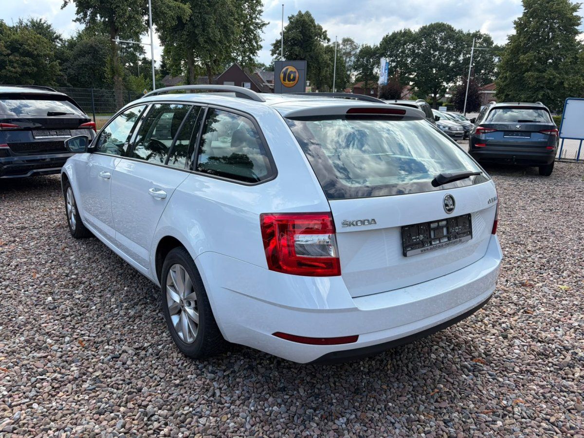 Skoda Octavia Combi weiß, Heckansicht auf Händlerparkplatz