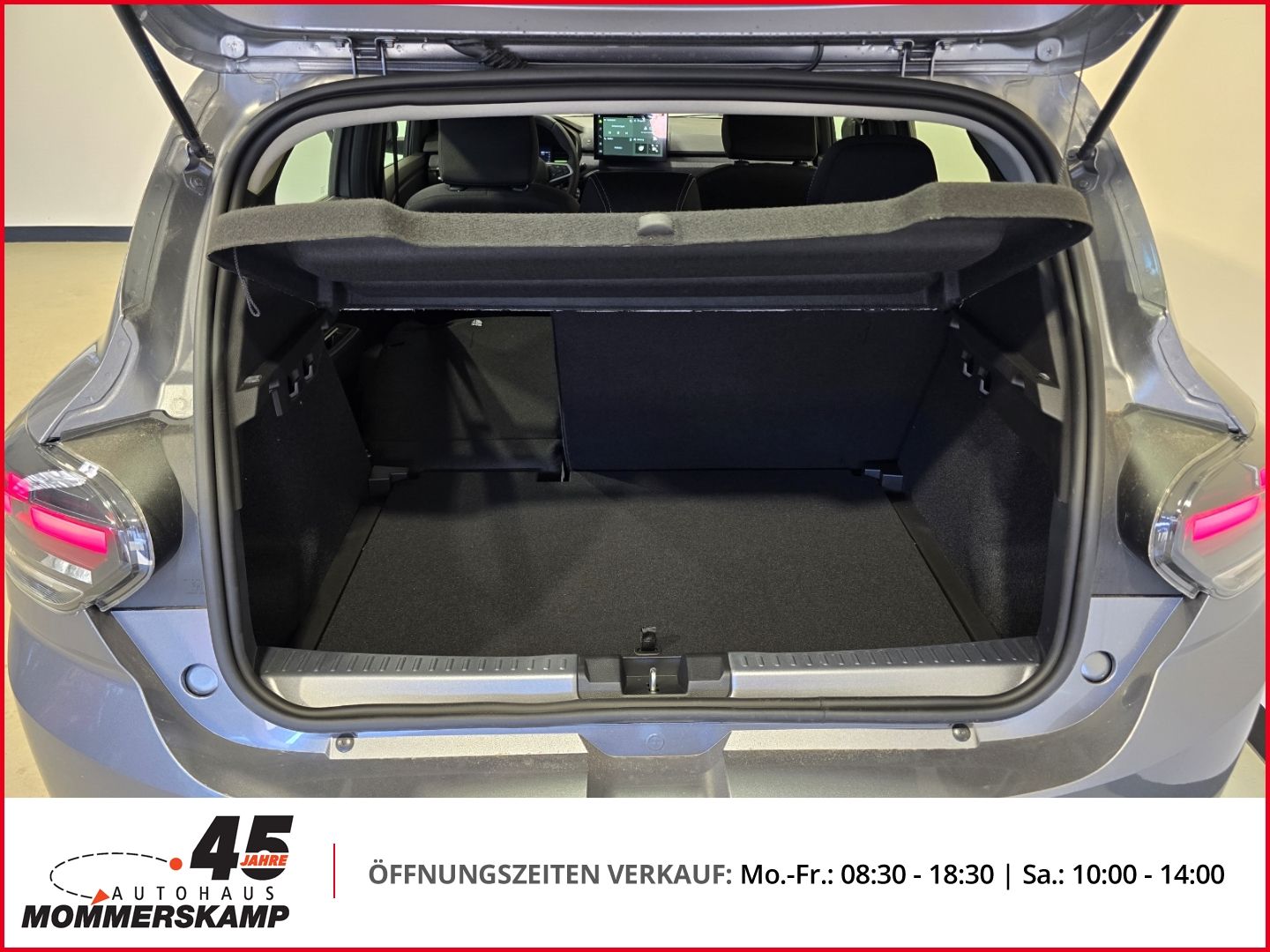 Dacia Sandero - Bild 13 von 18