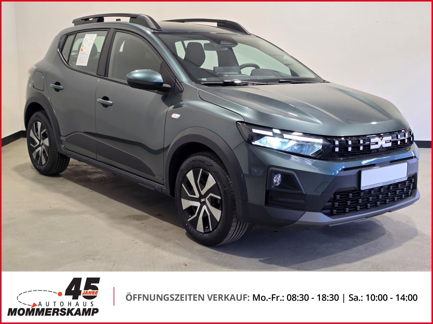 Dacia Sandero Stepway - Bild 3 von 18