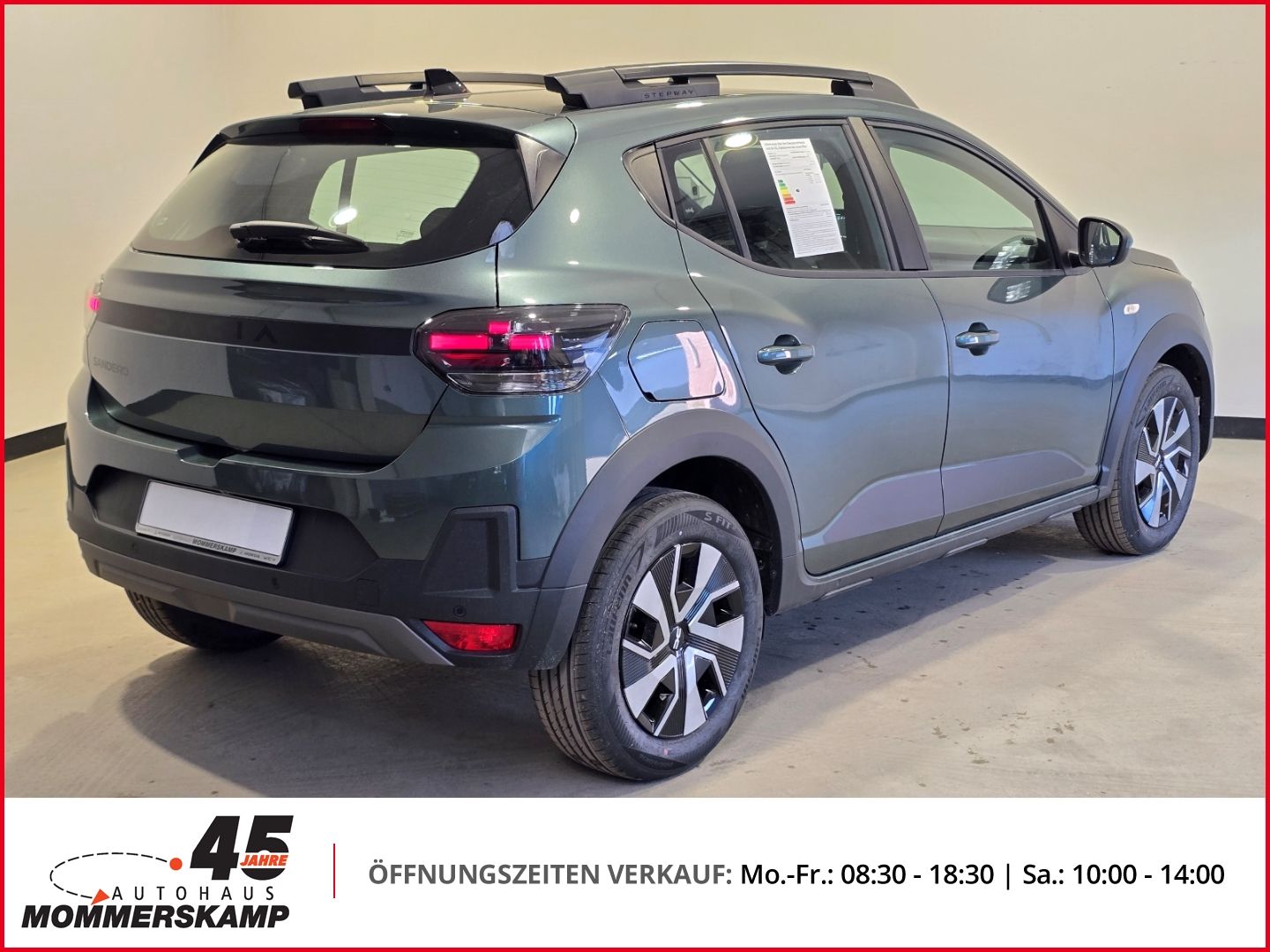Dacia Sandero Stepway Heckansicht in Grün mit Dachreling