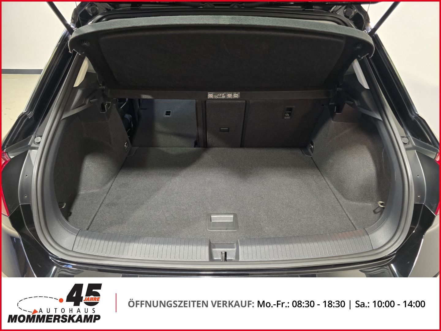 Volkswagen T-Roc - Bild 11 von 18