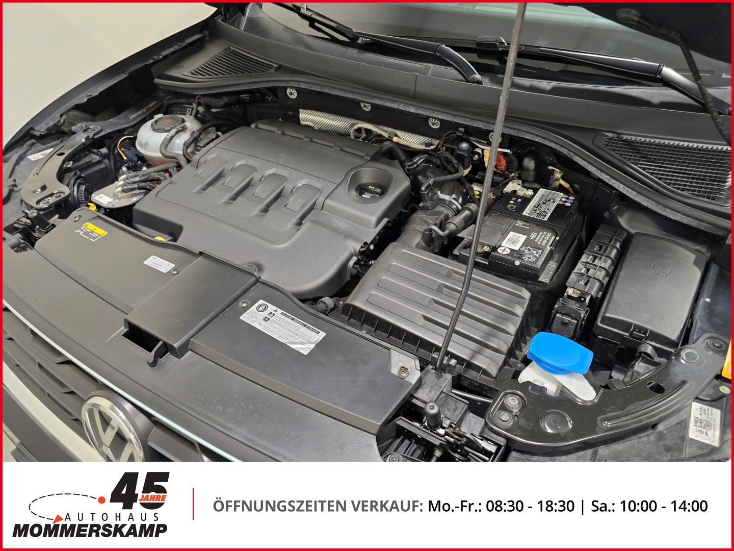 Volkswagen T-Roc - Bild 15 von 18