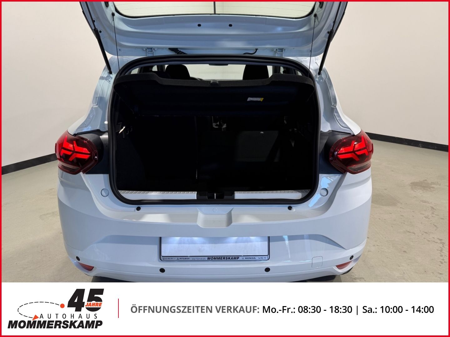 Dacia Sandero - Bild 15 von 17