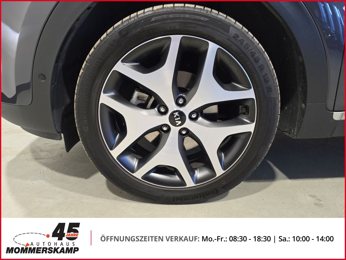 Kia Sportage - Bild 14 von 15