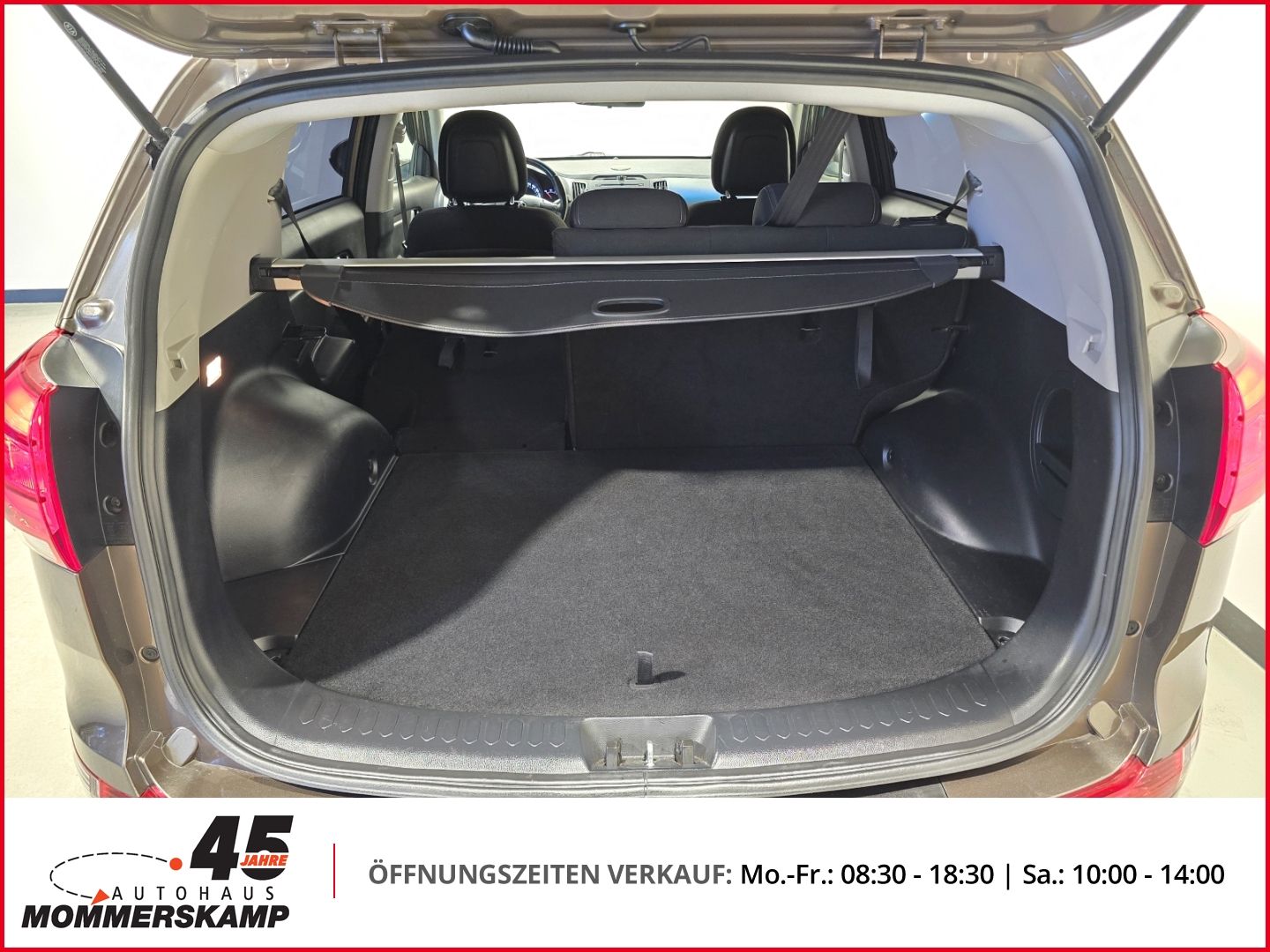Kia Sportage - Bild 11 von 15