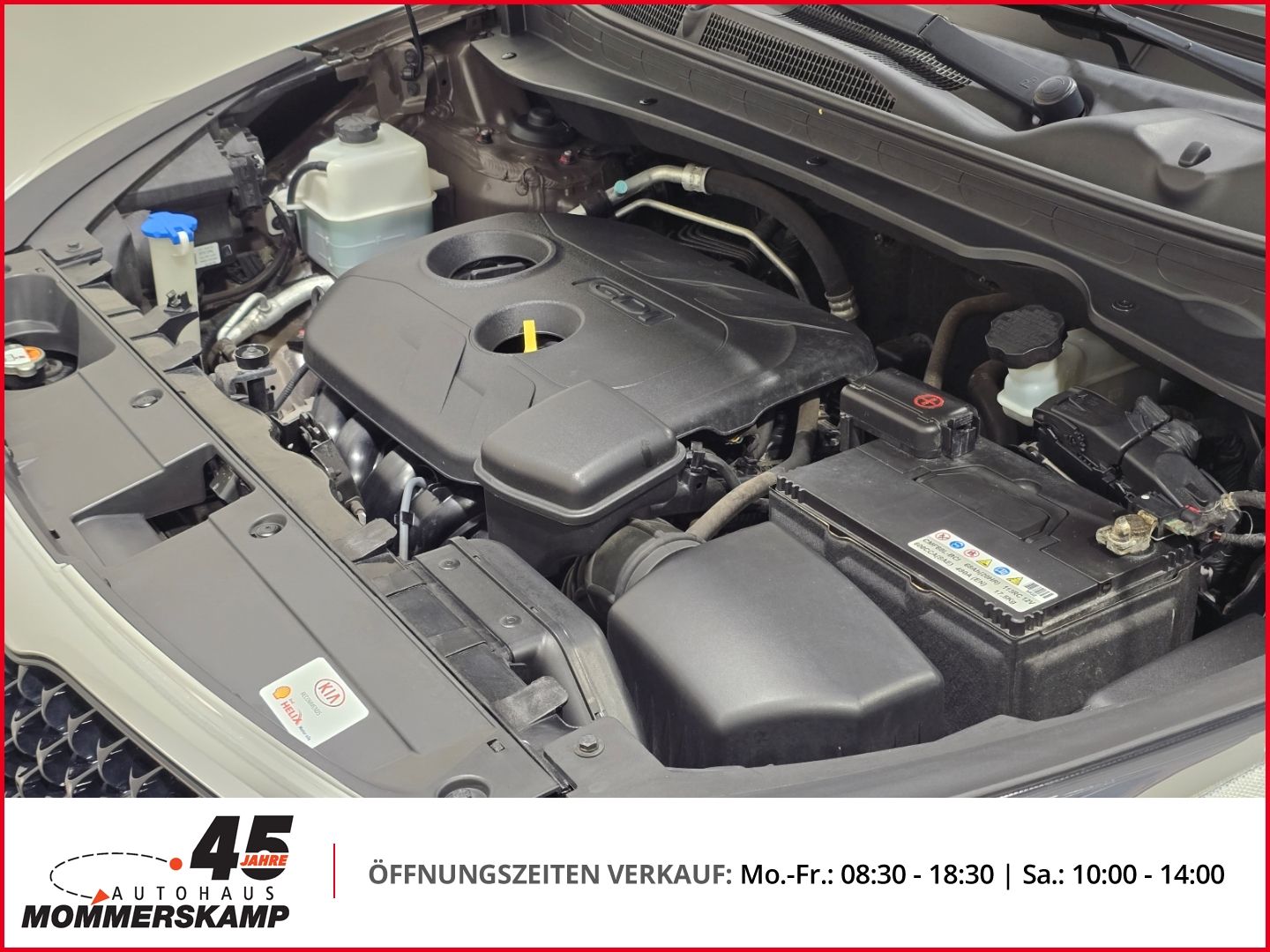 Kia Sportage - Bild 13 von 15