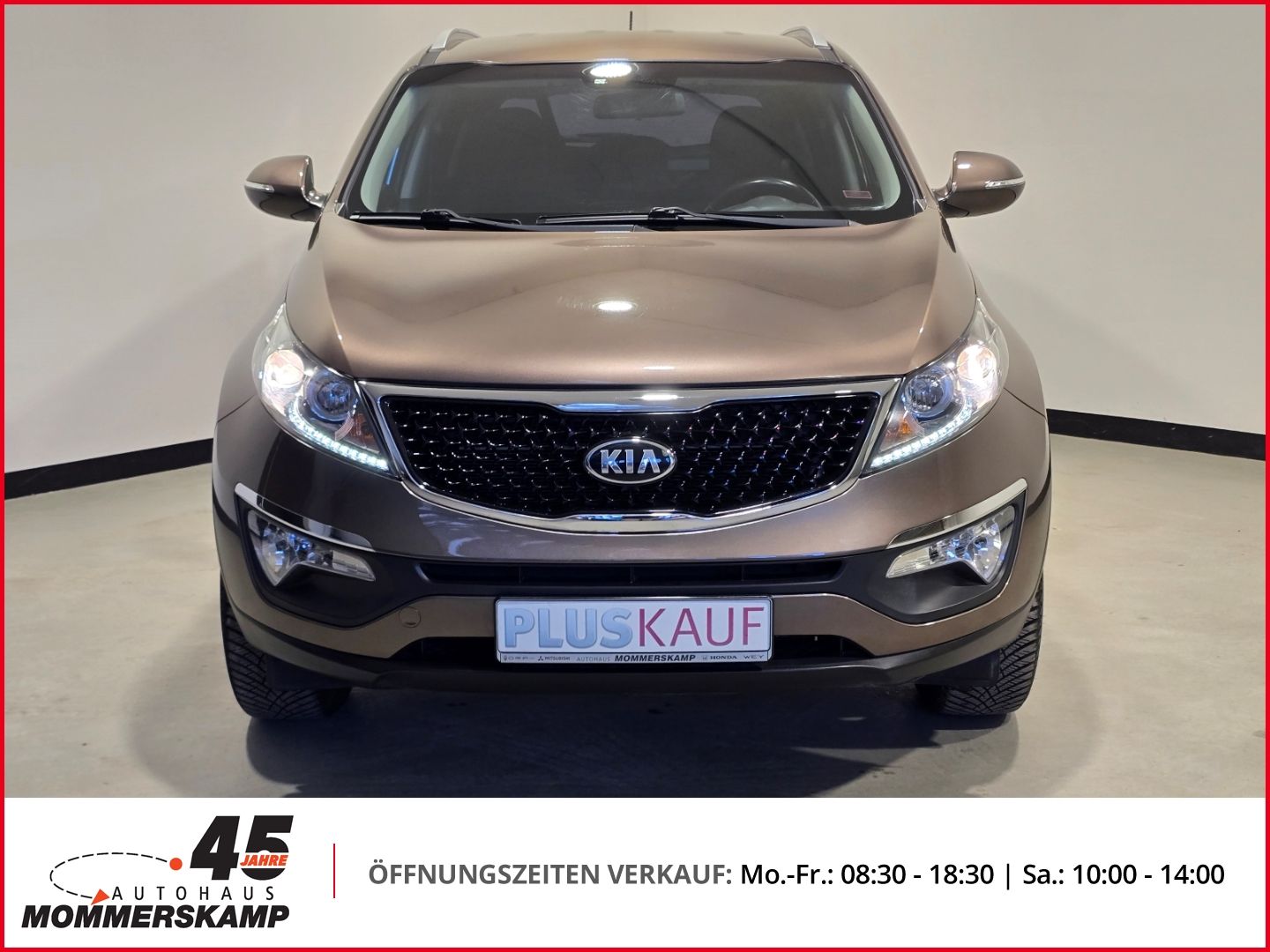Kia Sportage - Bild 14 von 15