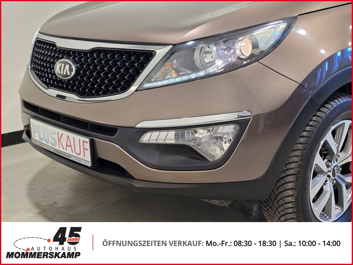 Kia Sportage - Bild 15 von 15