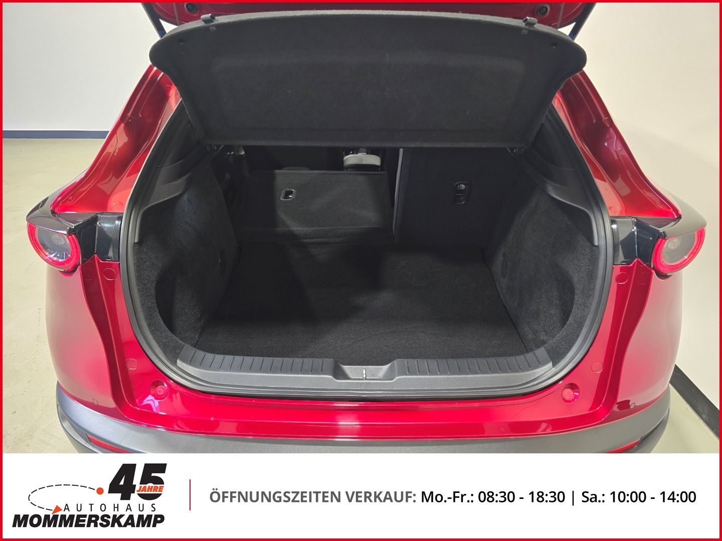 Mazda CX-30 - Bild 13 von 18