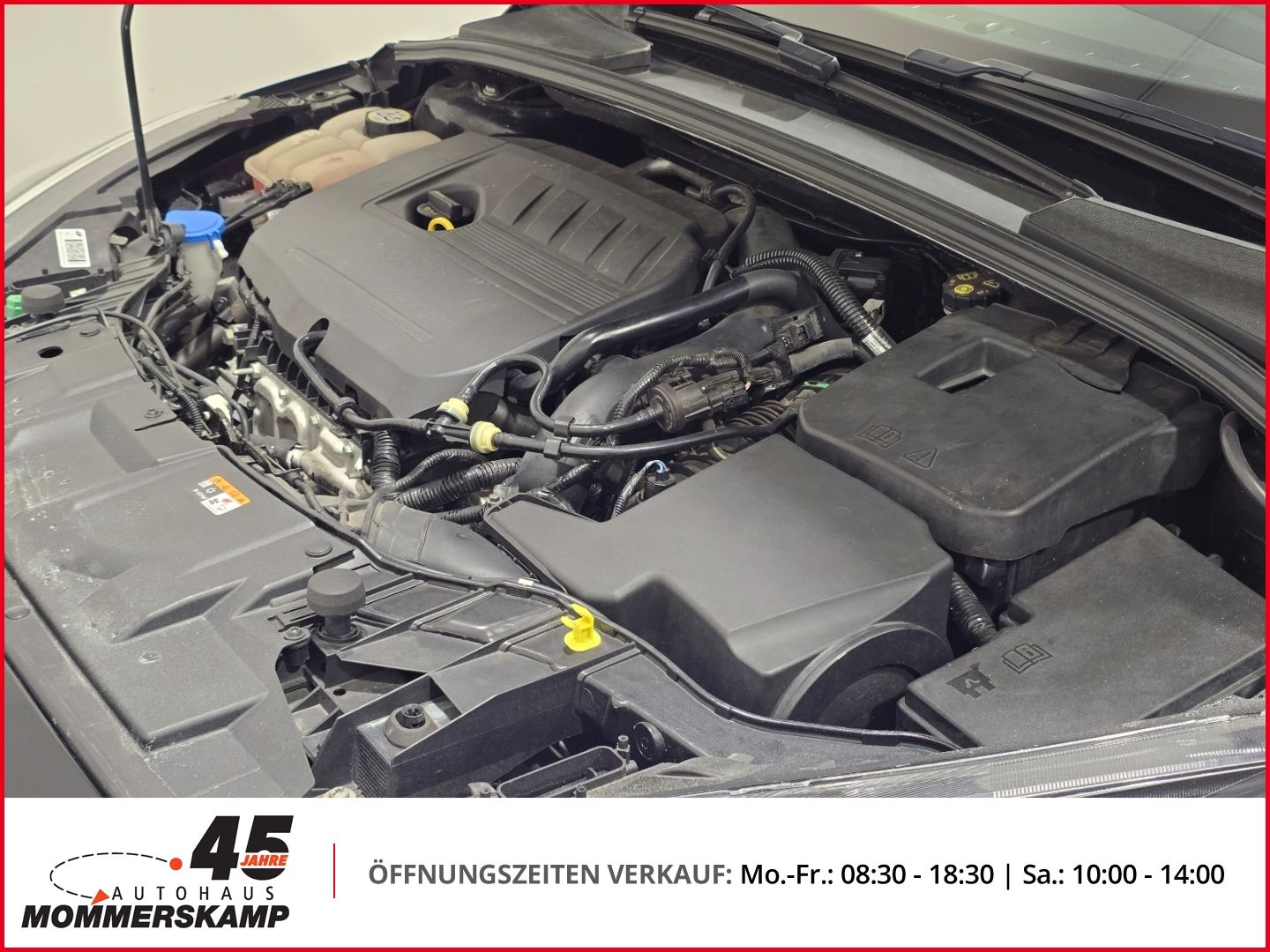 Ford Focus Turnier - Bild 15 von 17