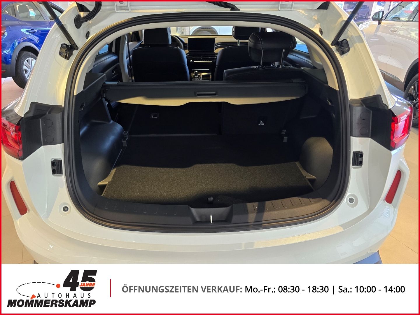 GWM Jolion - Bild 13 von 17