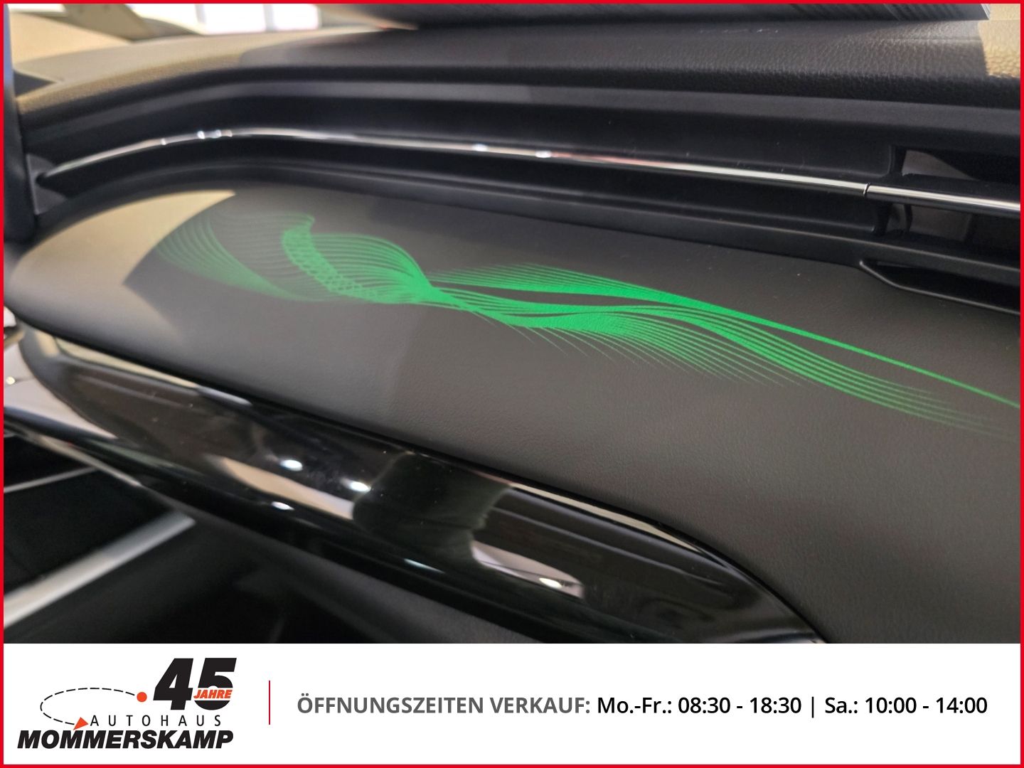GWM Jolion - Bild 14 von 17