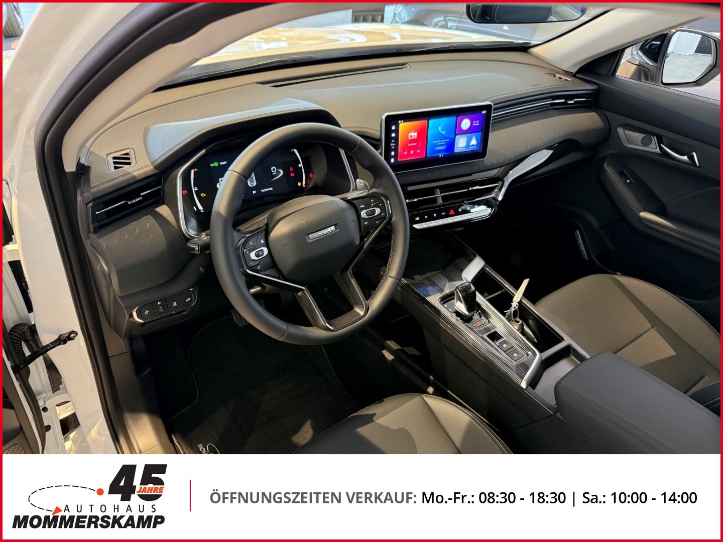 GWM Haval Jolion - Bild 8 von 15