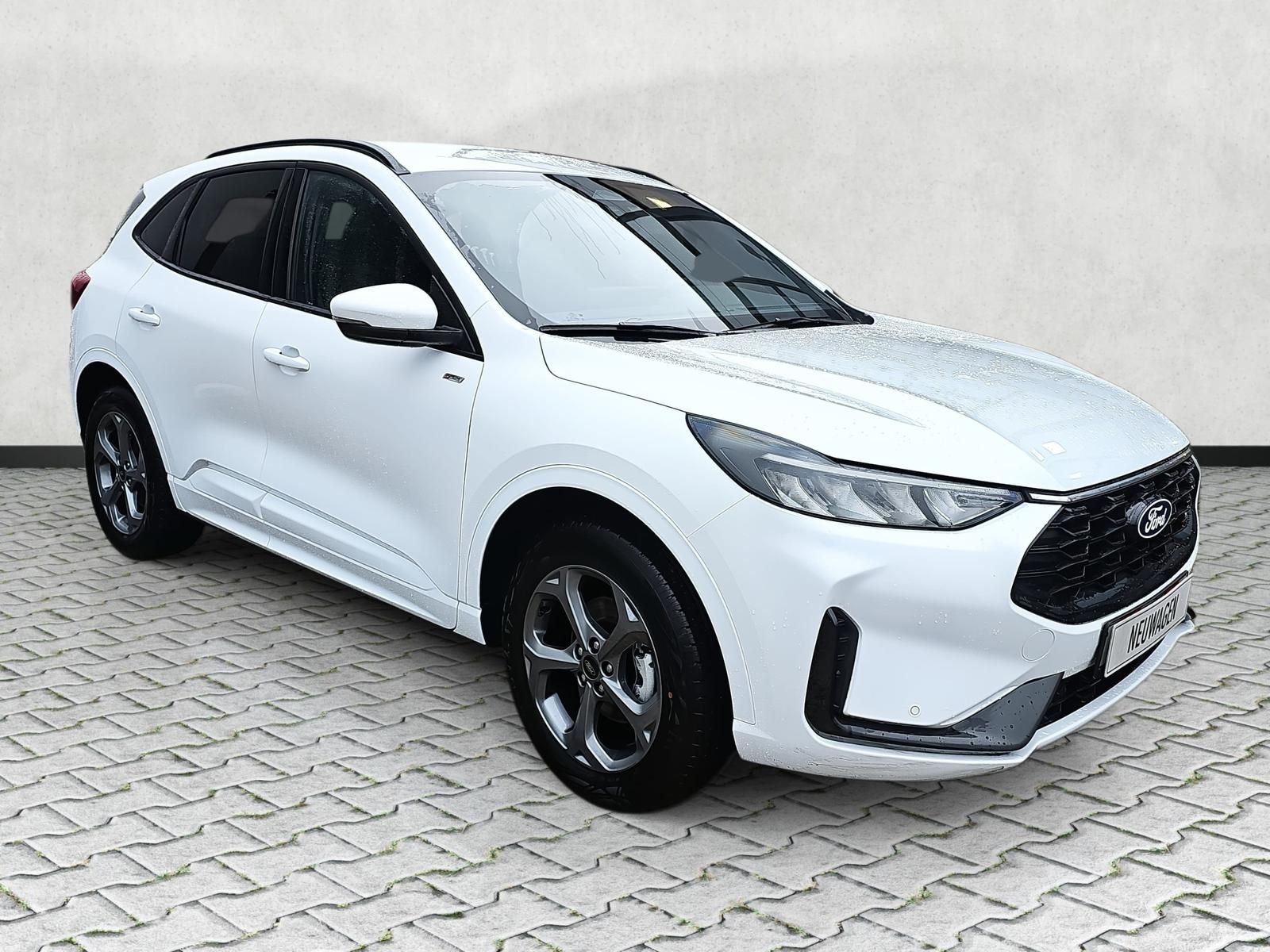 Ford Kuga - Bild 10 von 15