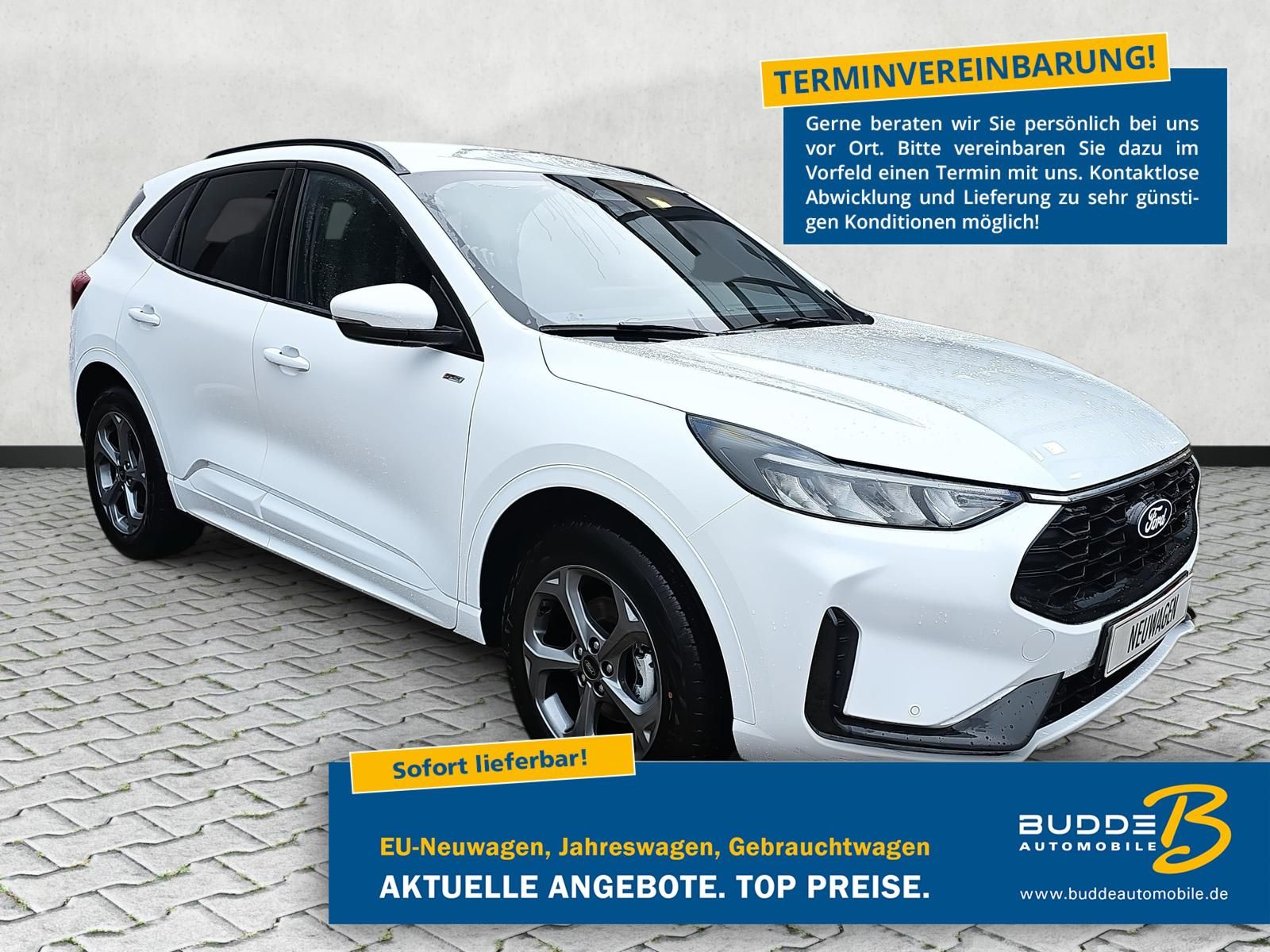 Ford Kuga - Bild 1 von 15