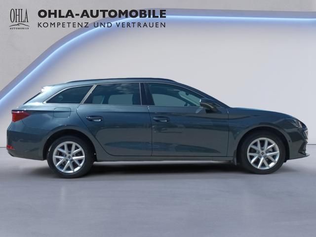 Seat Kombi Seitenansicht grau metallic bei Ohla Automobile
