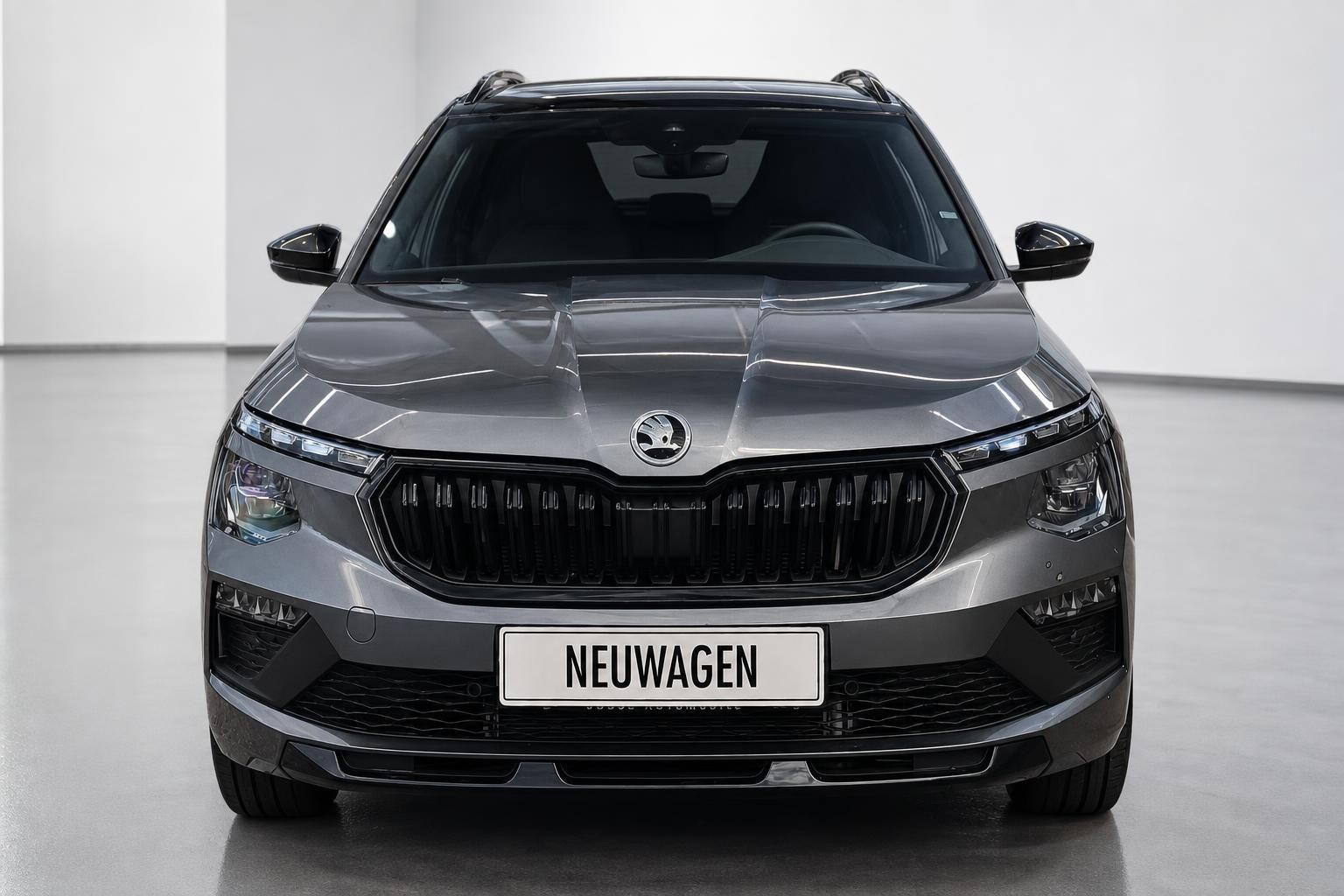 Skoda Kamiq Frontansicht mit Kuehlergrill, grau, Studiofoto