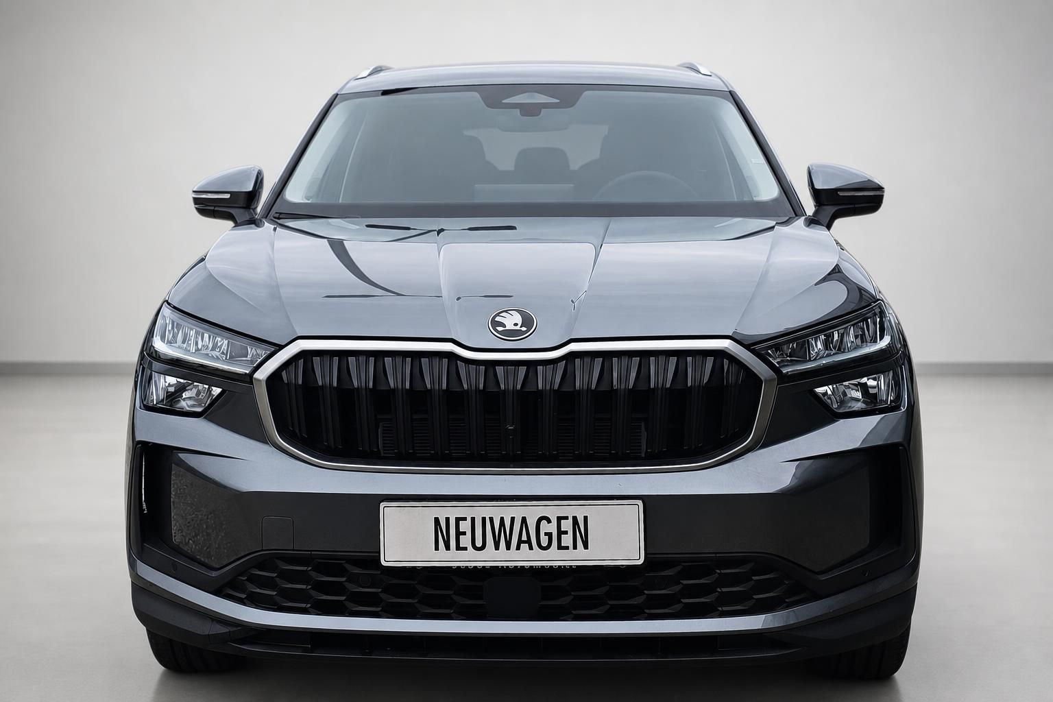 Skoda SUV grau, Frontansicht mit Kühlergrill