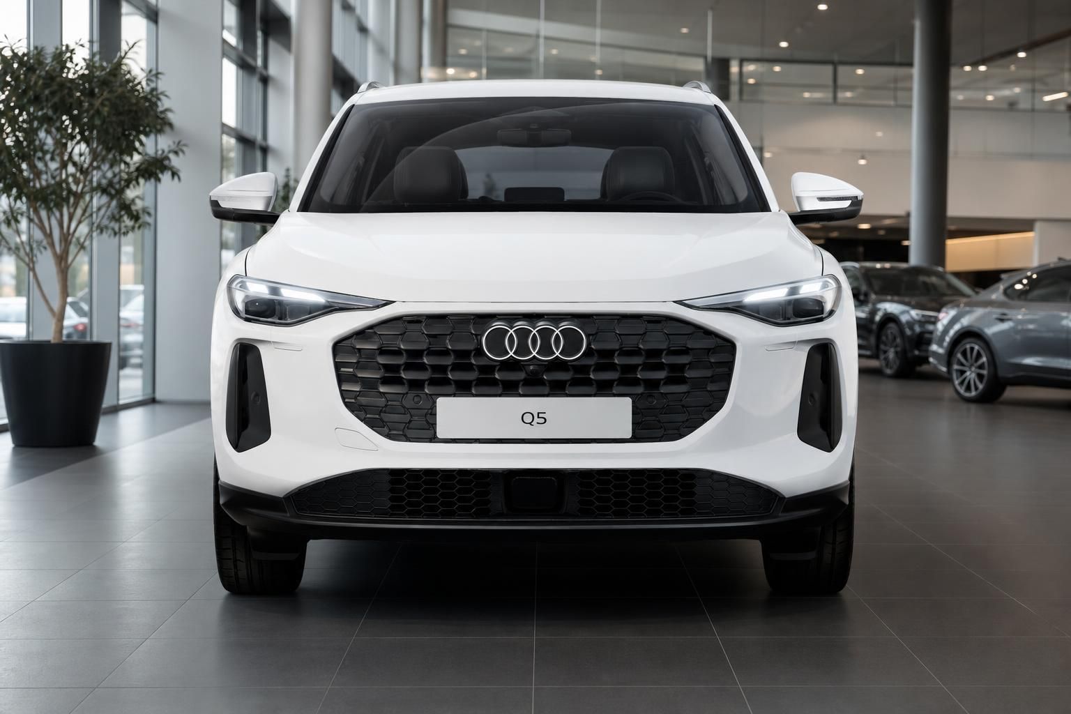 Audi Q5 weiß Frontansicht im Showroom beim Autohaus