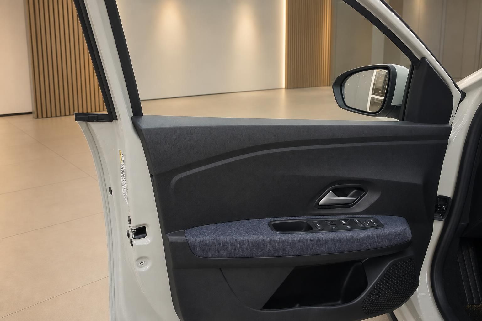 Dacia Fahrertür innen mit Bedienelementen und Außenspiegel
