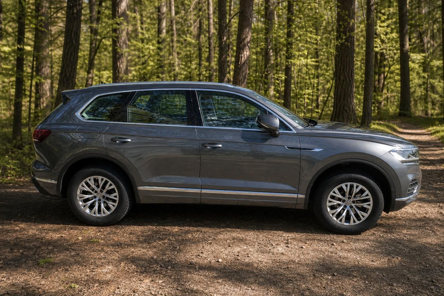 Volkswagen Touareg grau Seitenansicht rechts im Wald - Premium SUV Gebrauchtwagen