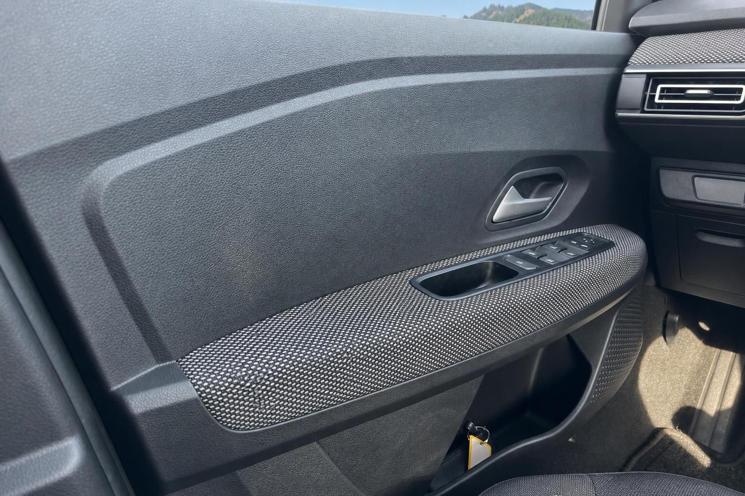Dacia Türverkleidung innen mit Fensterheber und Carbonoptik-Details