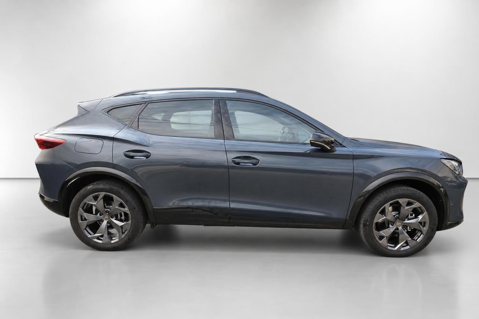 Cupra Formentor grau Seitenansicht Fahrerseite