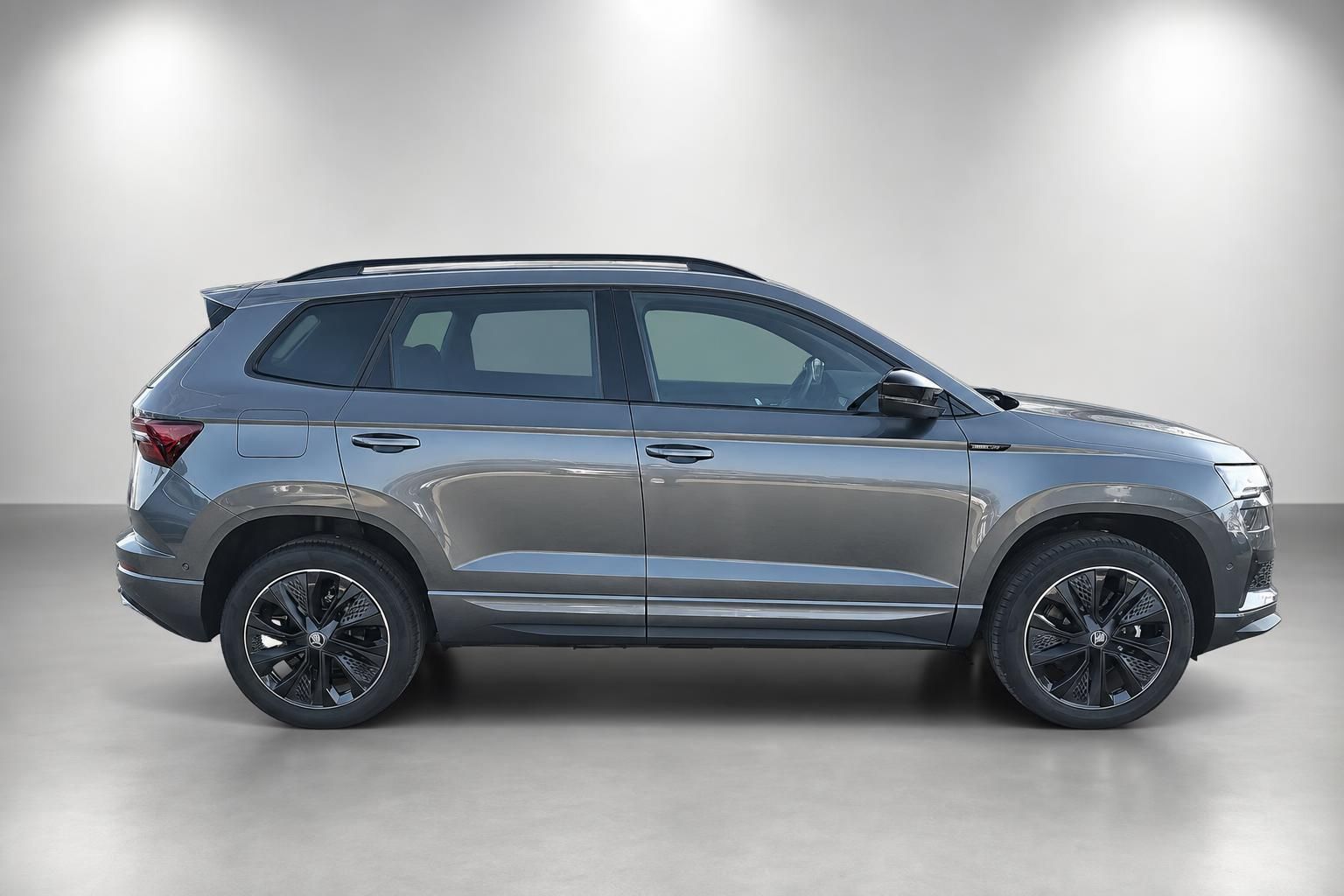 Skoda Karoq in Grau Seitenansicht im Studio