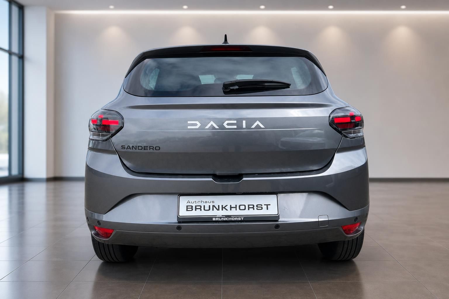 Dacia Sandero grau Heckansicht mit SANDERO Schriftzug