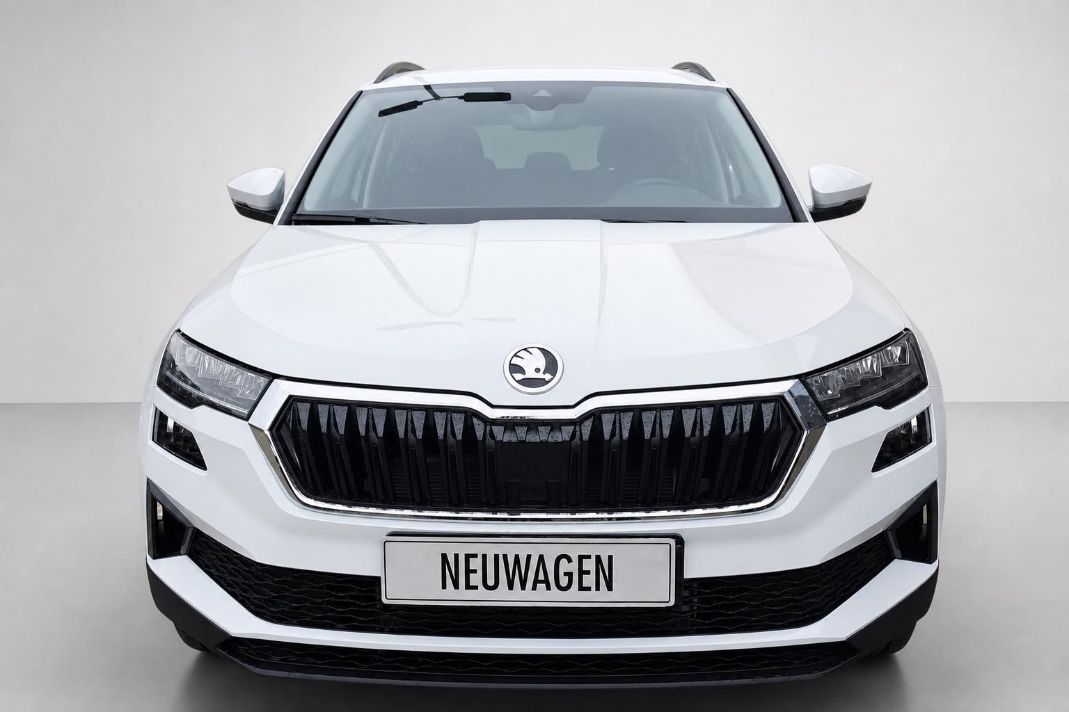 Skoda Karoq weiß Frontansicht Kühlergrill Detail