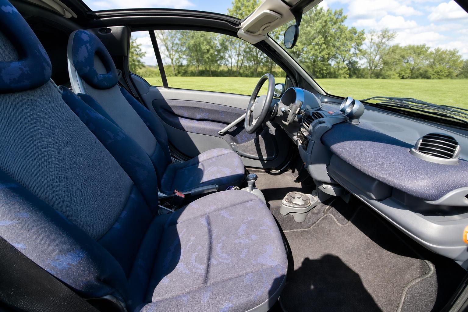 Smart Fortwo Innenraum mit Blick auf gruene Wiese