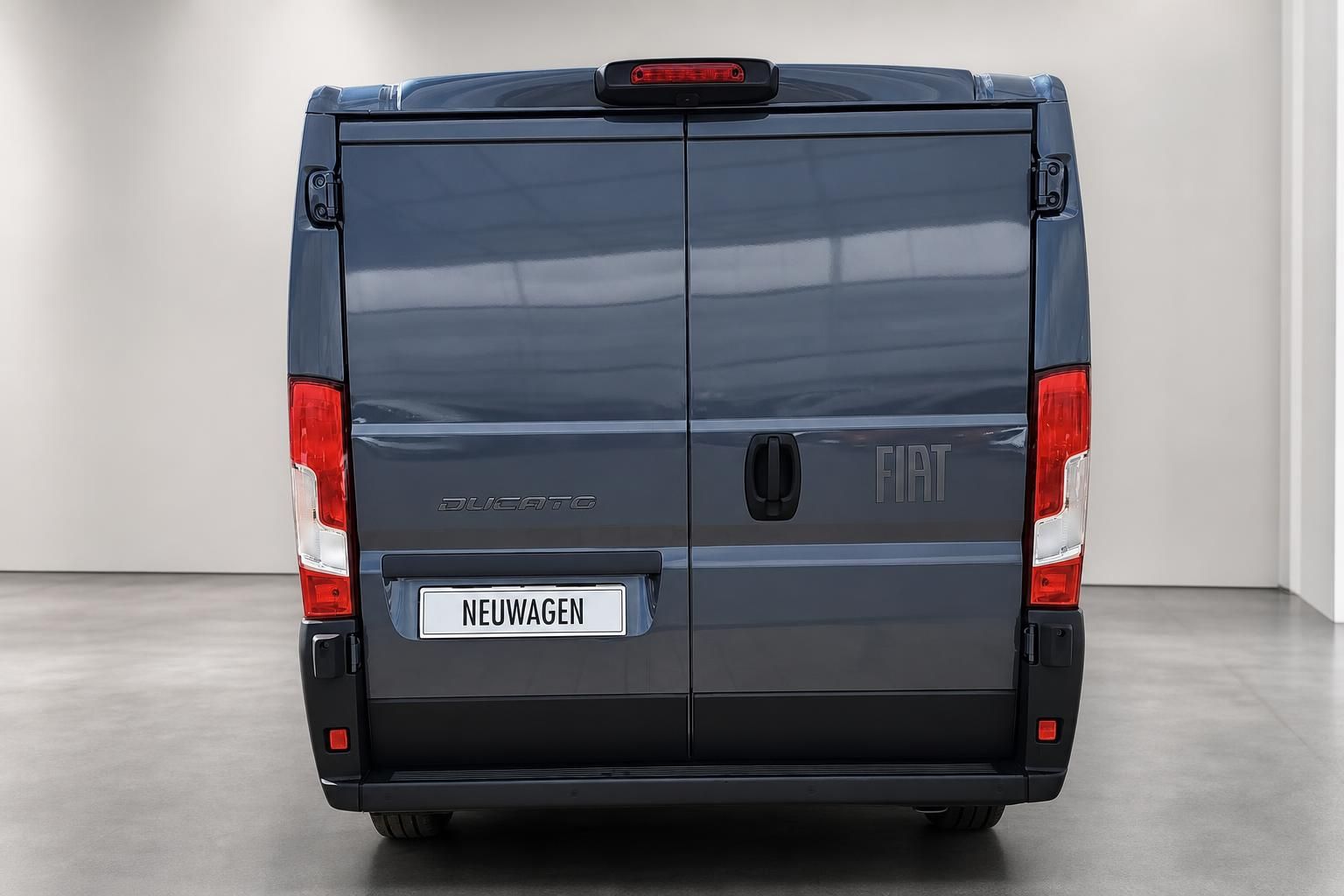 Fiat Ducato Kastenwagen grau, direkte Heckansicht mit Doppelfluegeltueren