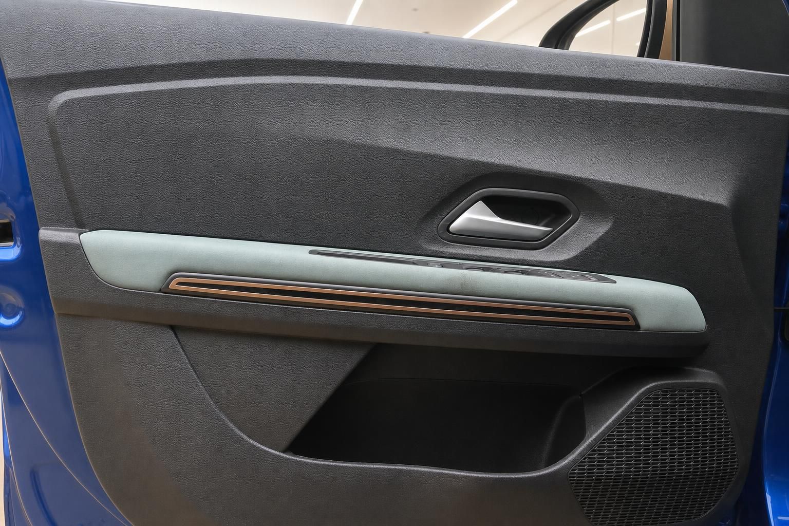 Dacia Türverkleidung mit Türgriff und Ablagefach im Detail
