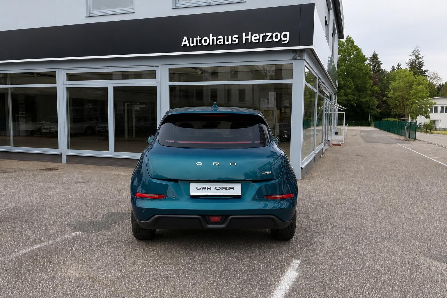 GWM Ora blau metallic, direkte Heckansicht mit Kennzeichen