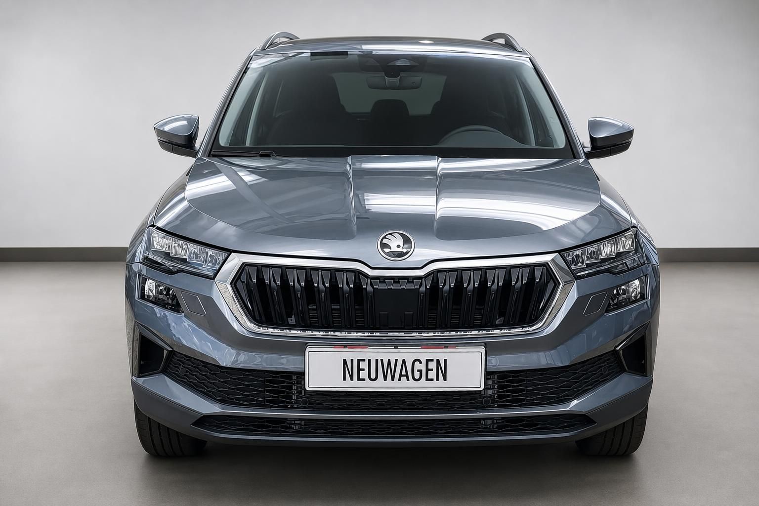Skoda Karoq grau Frontansicht mit Kennzeichen Neuwagen