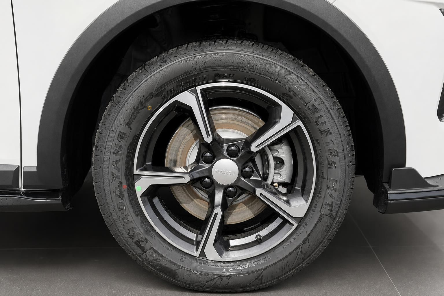 Haval Leichtmetallfelge mit Bremssattel im Detail