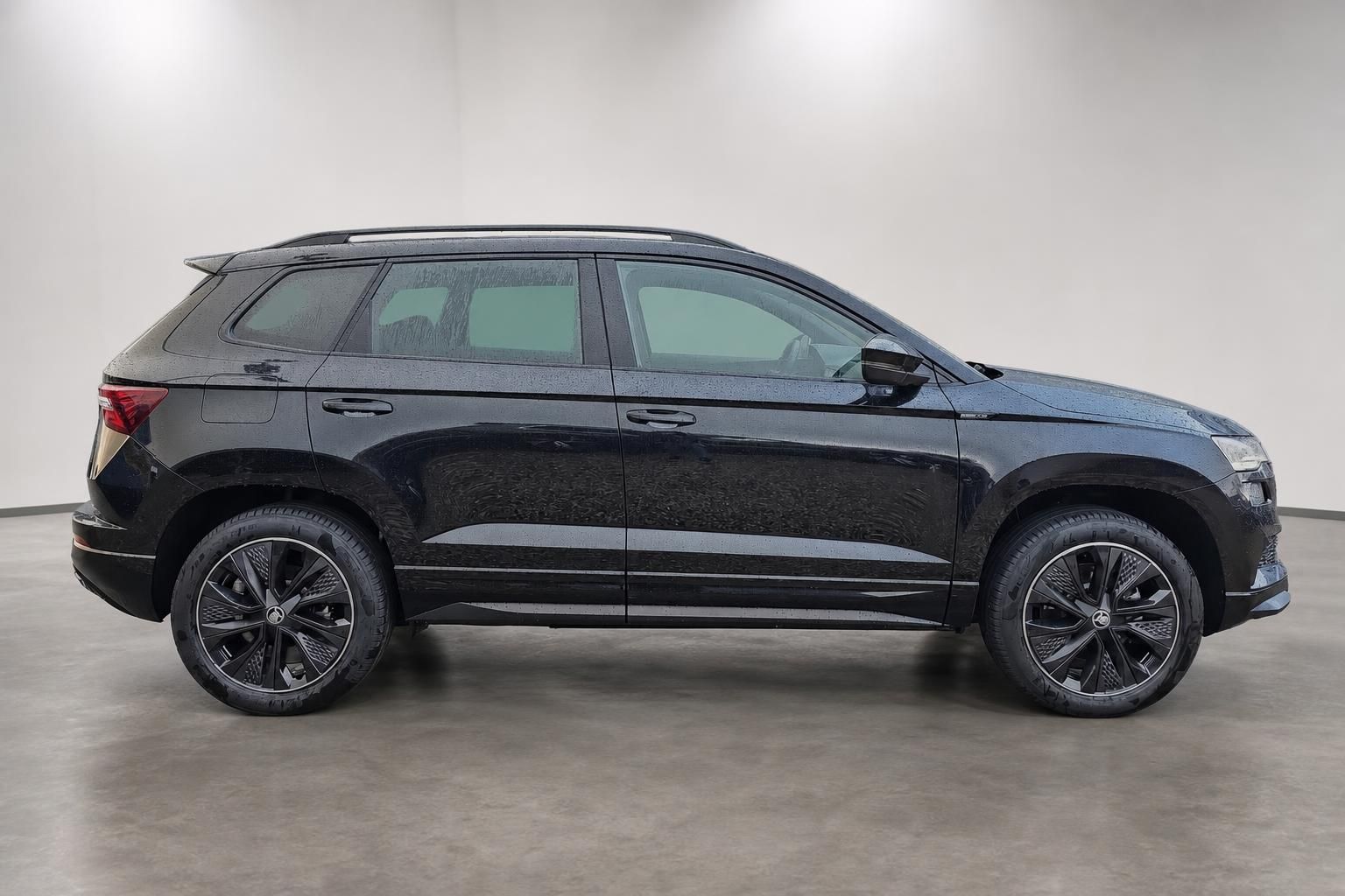 Skoda Karoq schwarz SUV Seitenansicht mit Dachreling