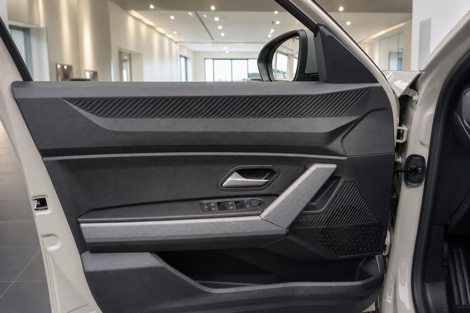 Dacia Türverkleidung mit Fensterheber und Außenspiegel im Detail