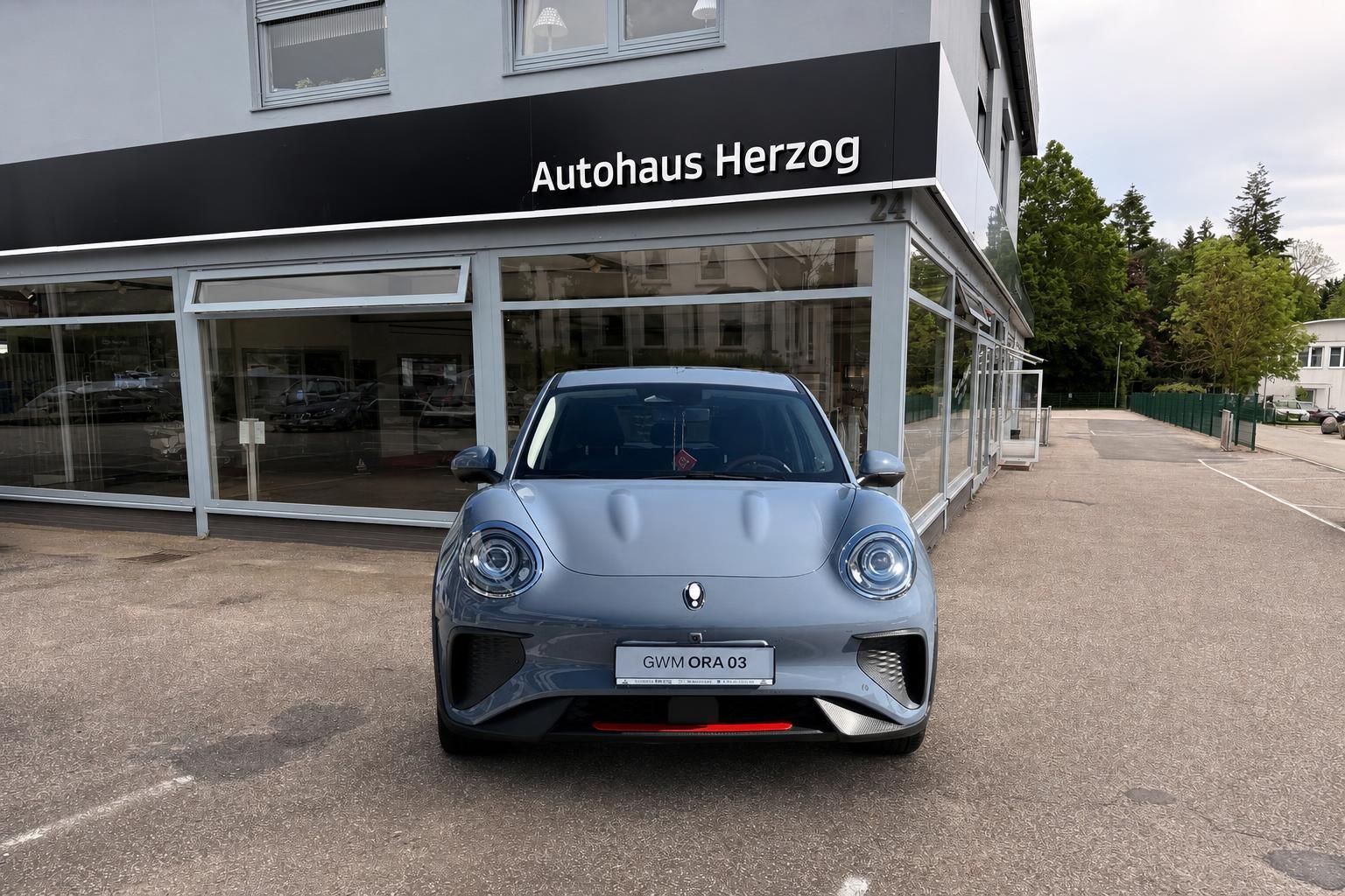 GWM Ora 03 Frontansicht grau bei Autohaus Herzog