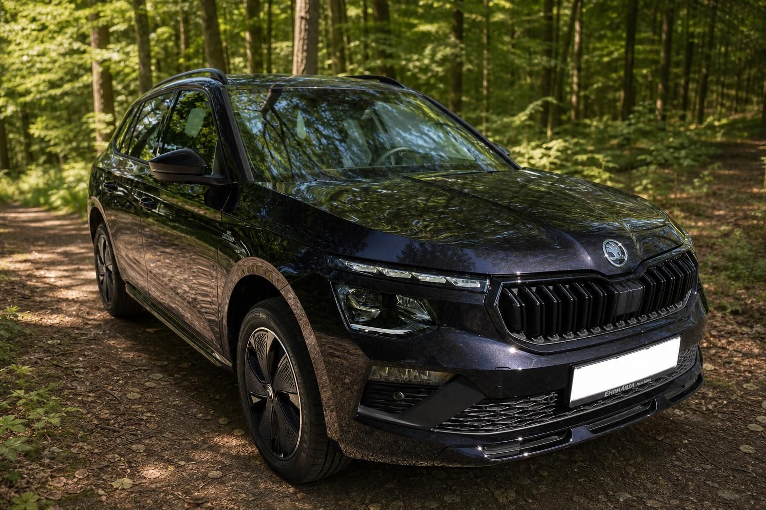 Skoda Kamiq Schrägansicht vorne links schwarz mit LED-Tagfahrlicht im Wald