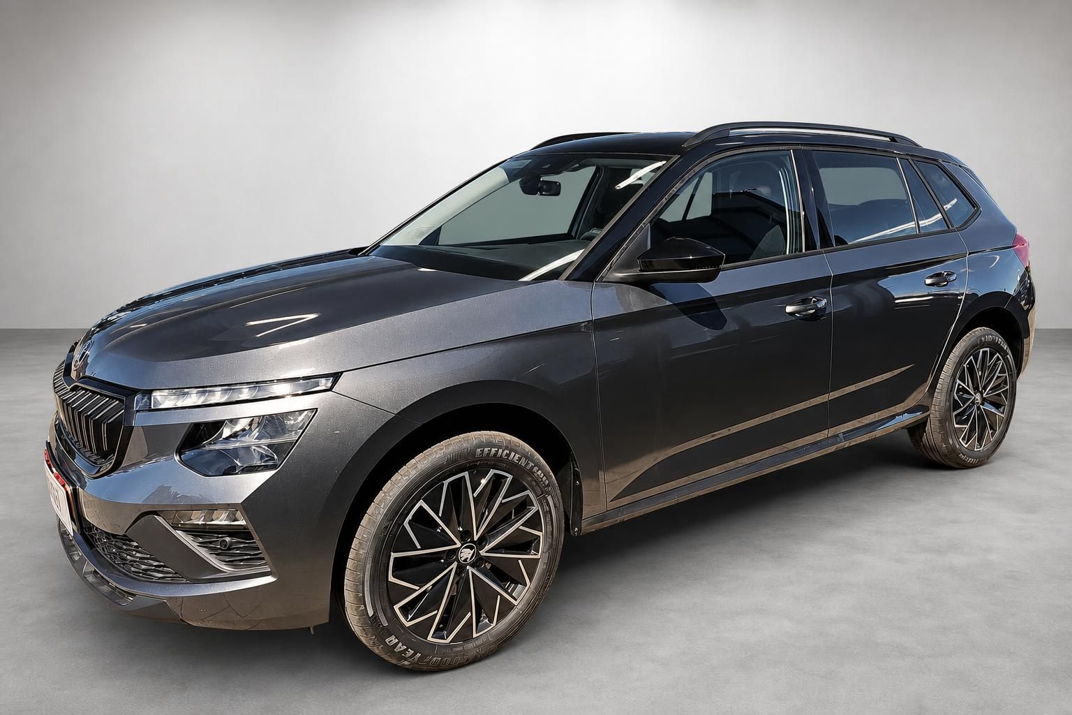 Škoda SUV Seitenansicht grau metallic mit Alufelgen