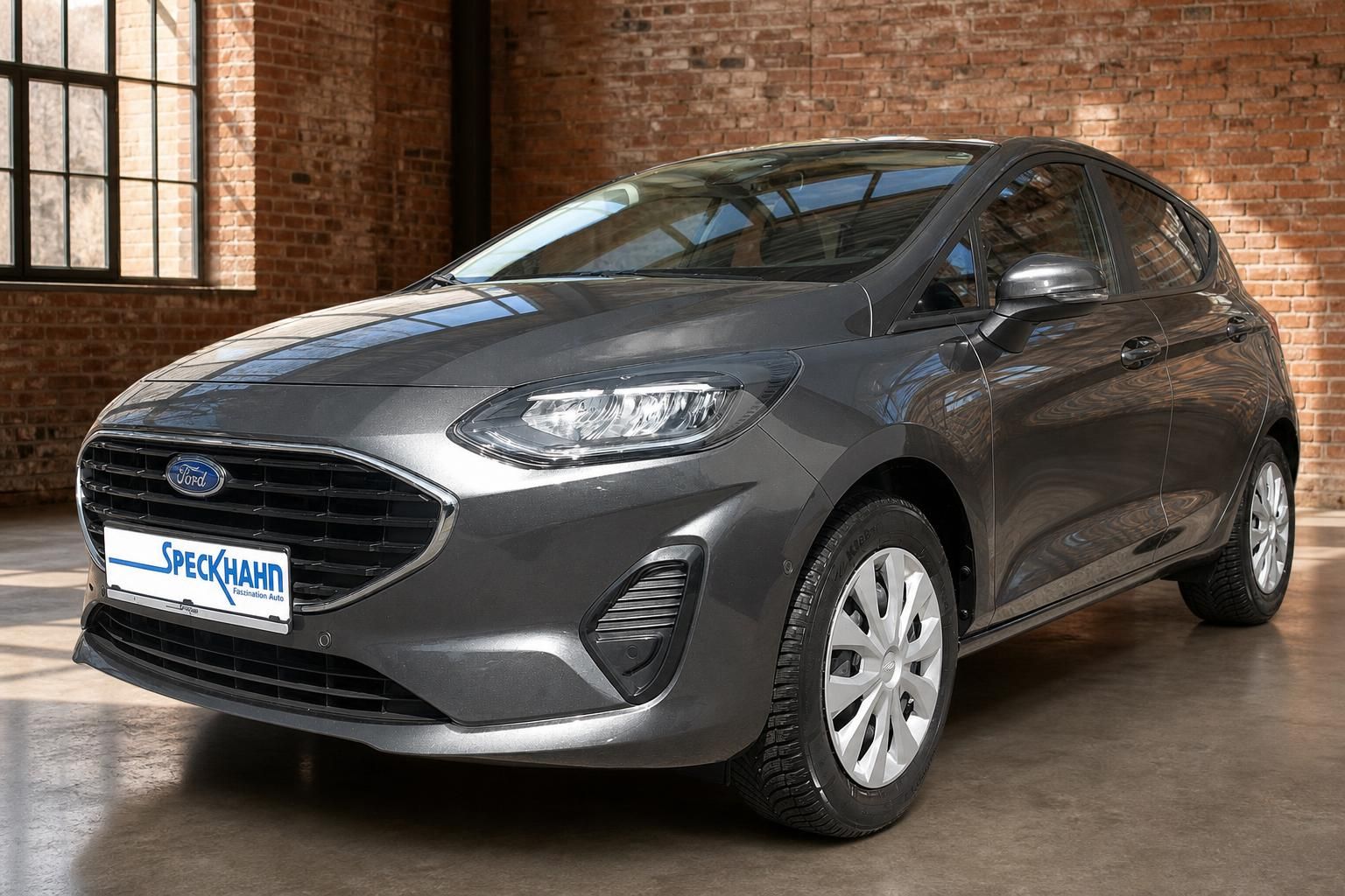 Ford Fiesta grau Frontansicht schräg mit Speckhahn Kennzeichenhalter