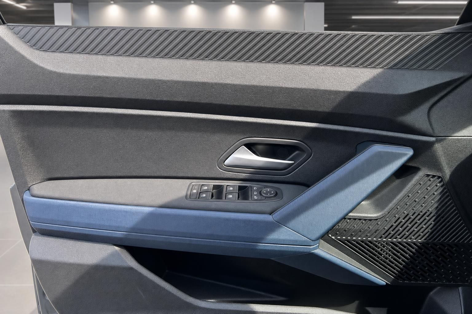 Dacia Türverkleidung mit Fensterheber-Bedienelementen im Detail